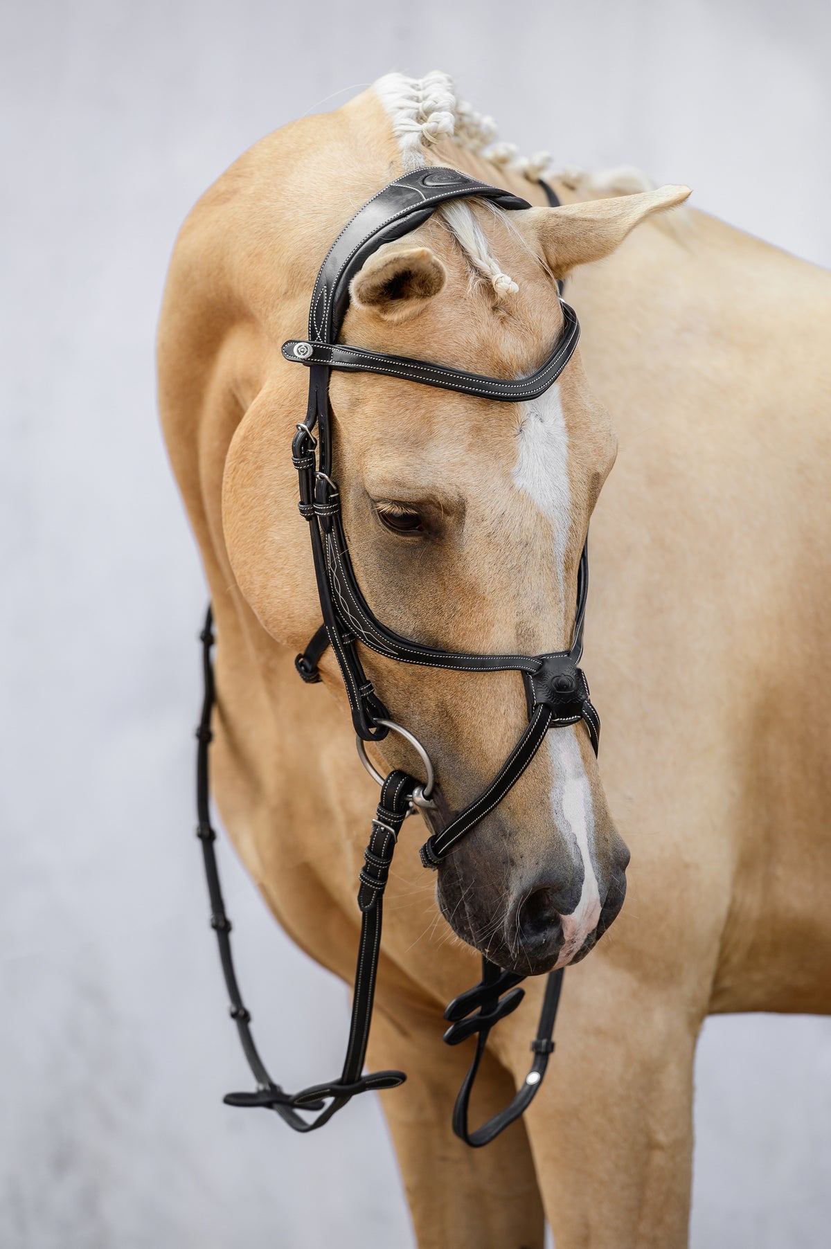 Bridle Pembroke - Black Leather