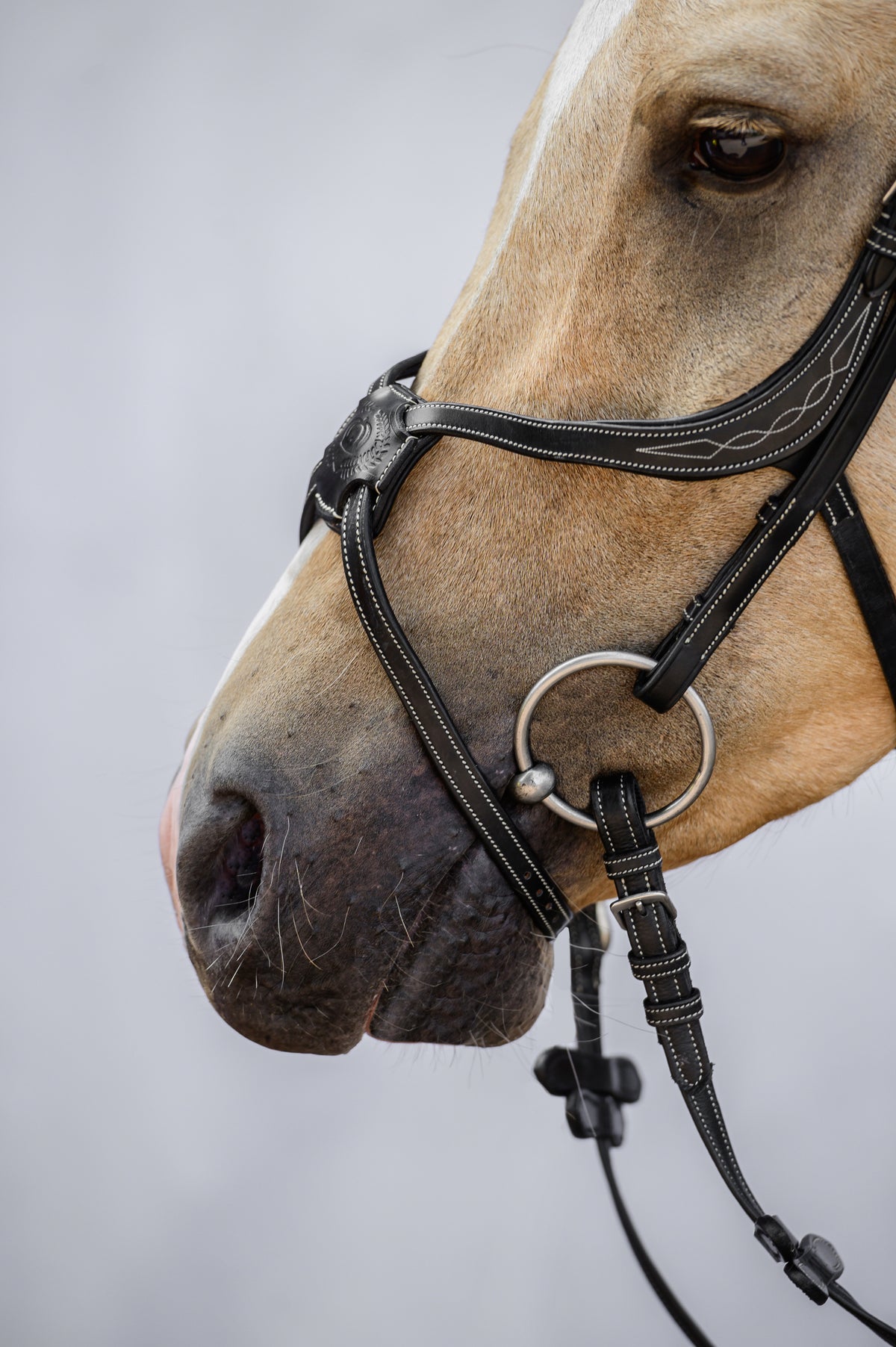 Bridle Pembroke - Black Leather