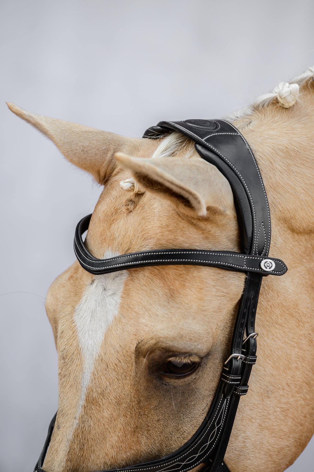 Bridle Pembroke - Black Leather