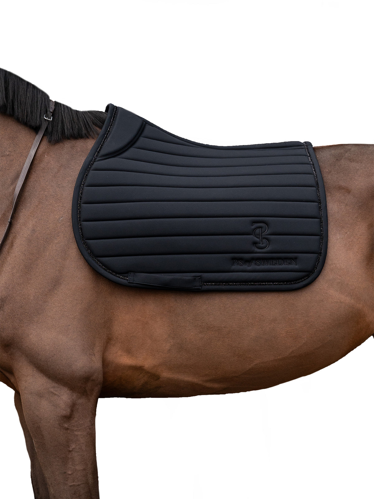 Stripe Jump Saddle Pad Black