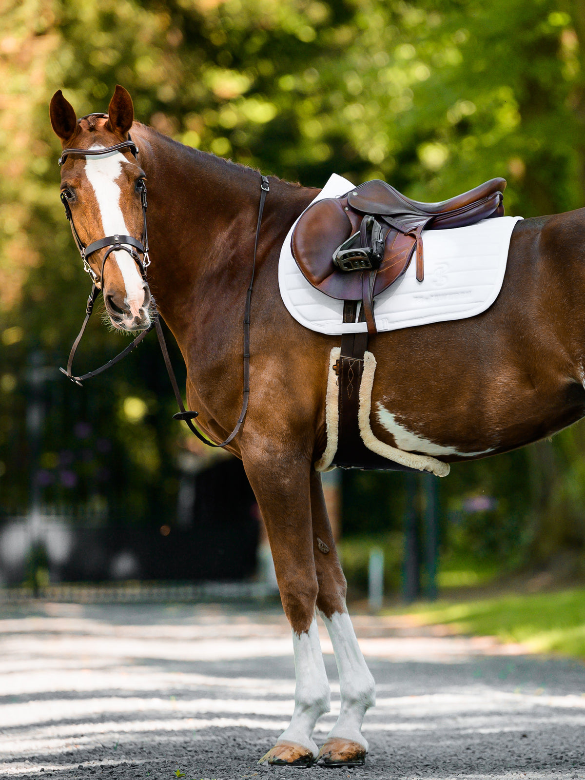 Stripe Jump Saddle Pad White