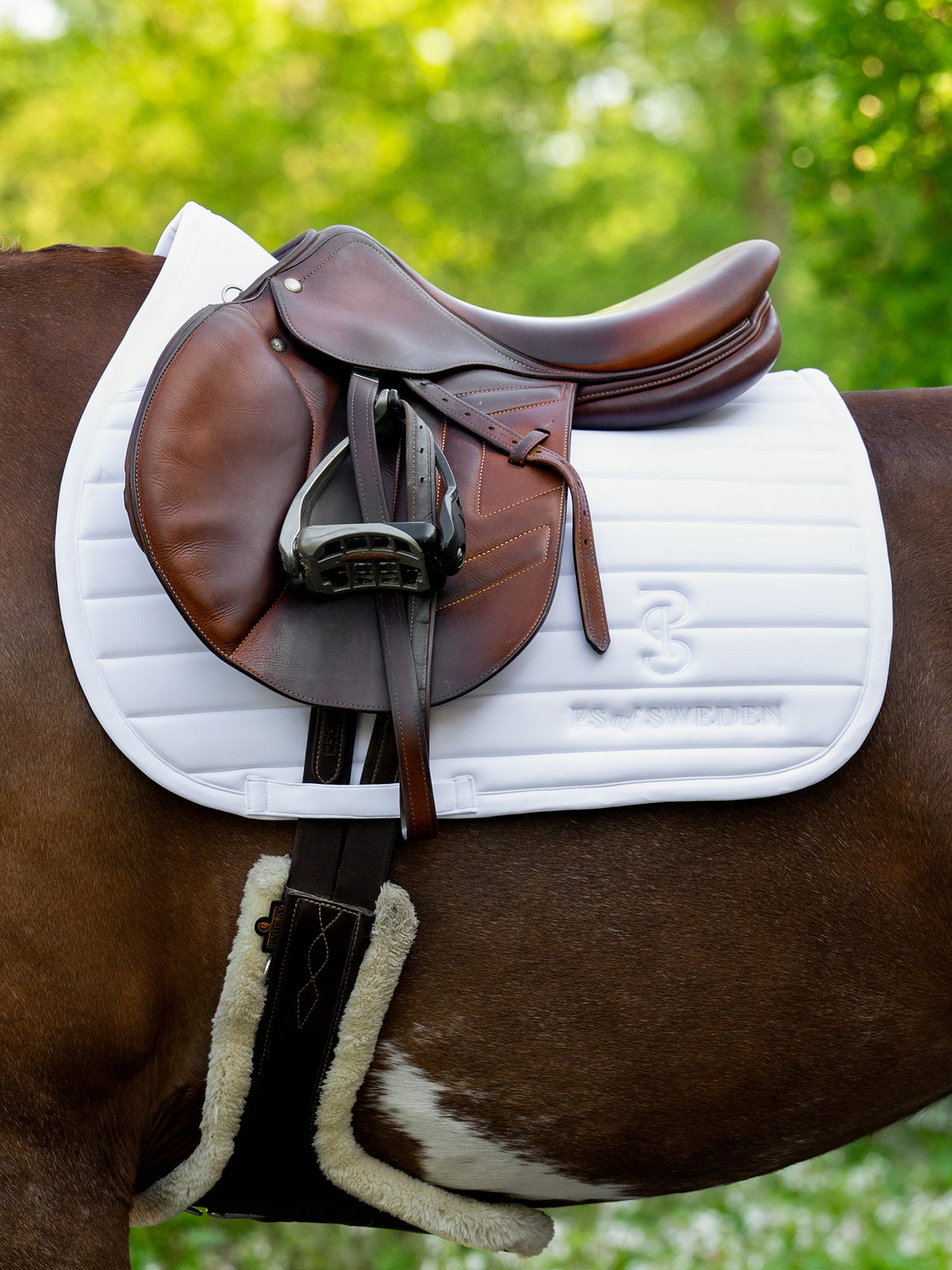 Stripe Jump Saddle Pad - White