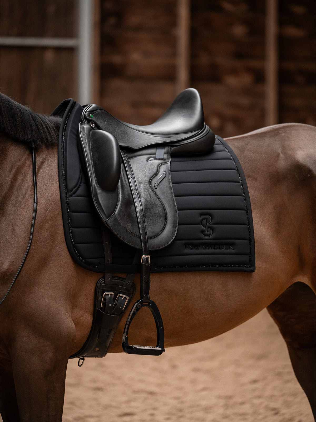 Stripe Dressage Saddle Pad Black