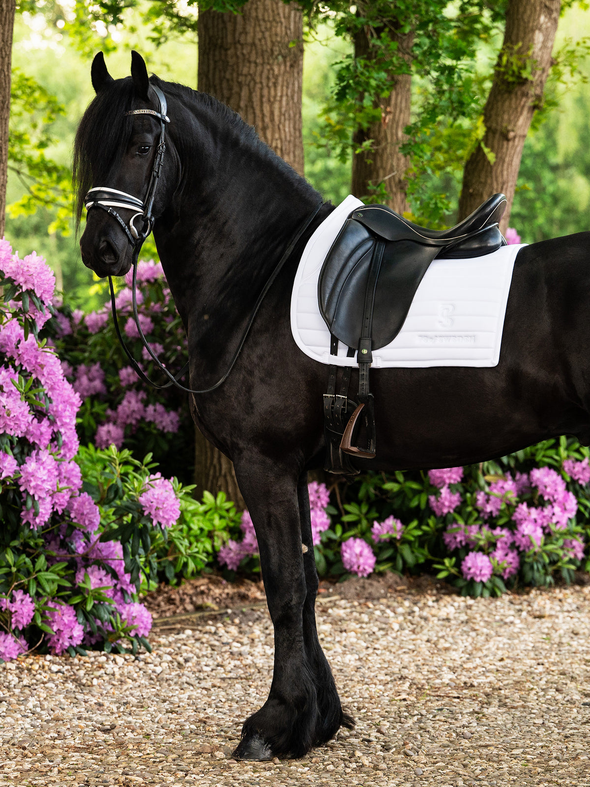 Stripe Dressage Saddle Pad - White