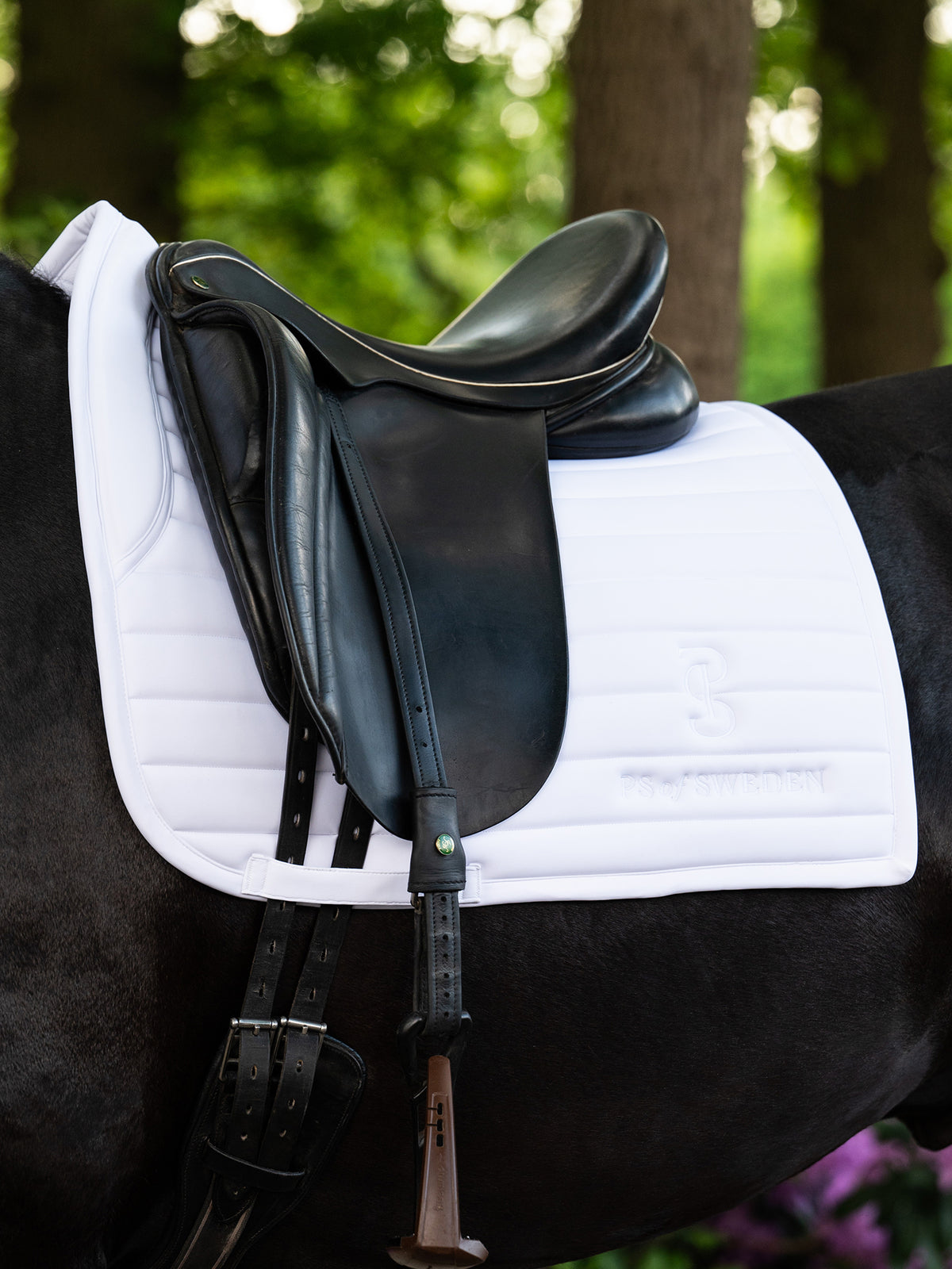 Stripe Dressage Saddle Pad - White