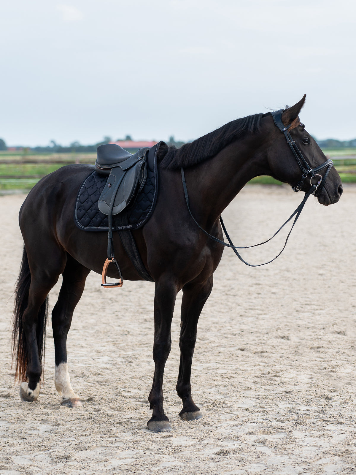 Saddle Pad Heart Jump Black