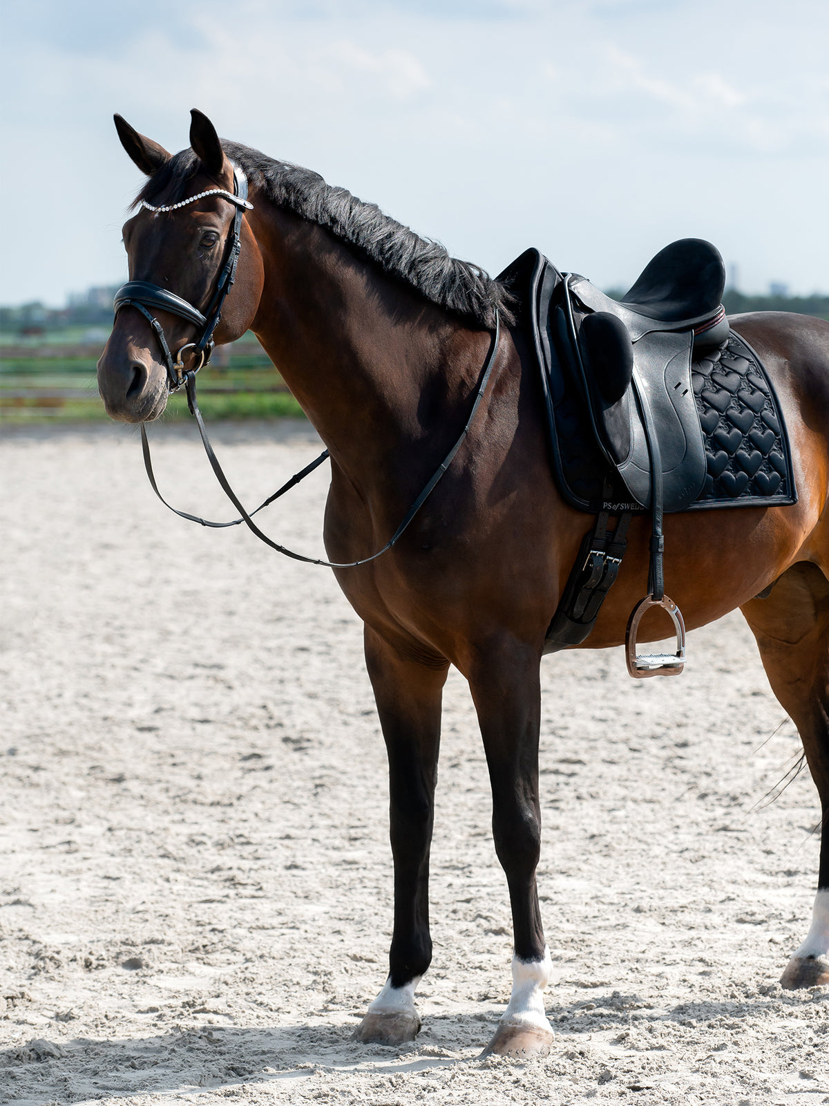 Saddle Pad Heart Dressage Black