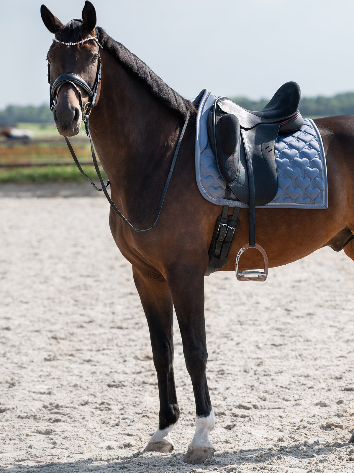 Saddle Pad Heart Dressage Mist blue