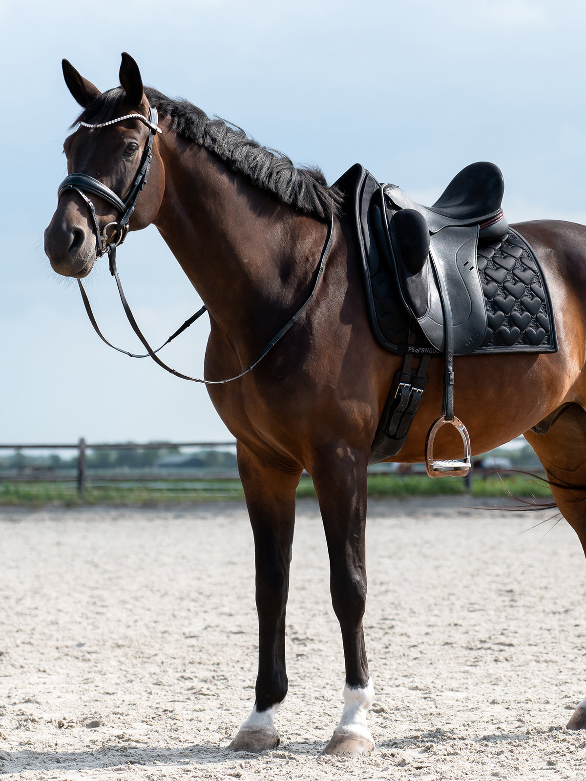 Saddle Pad Heart Dressage Black