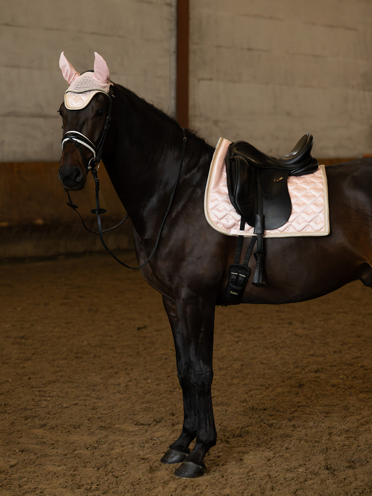 Saddle Pad Heart Dressage Whipped Pink