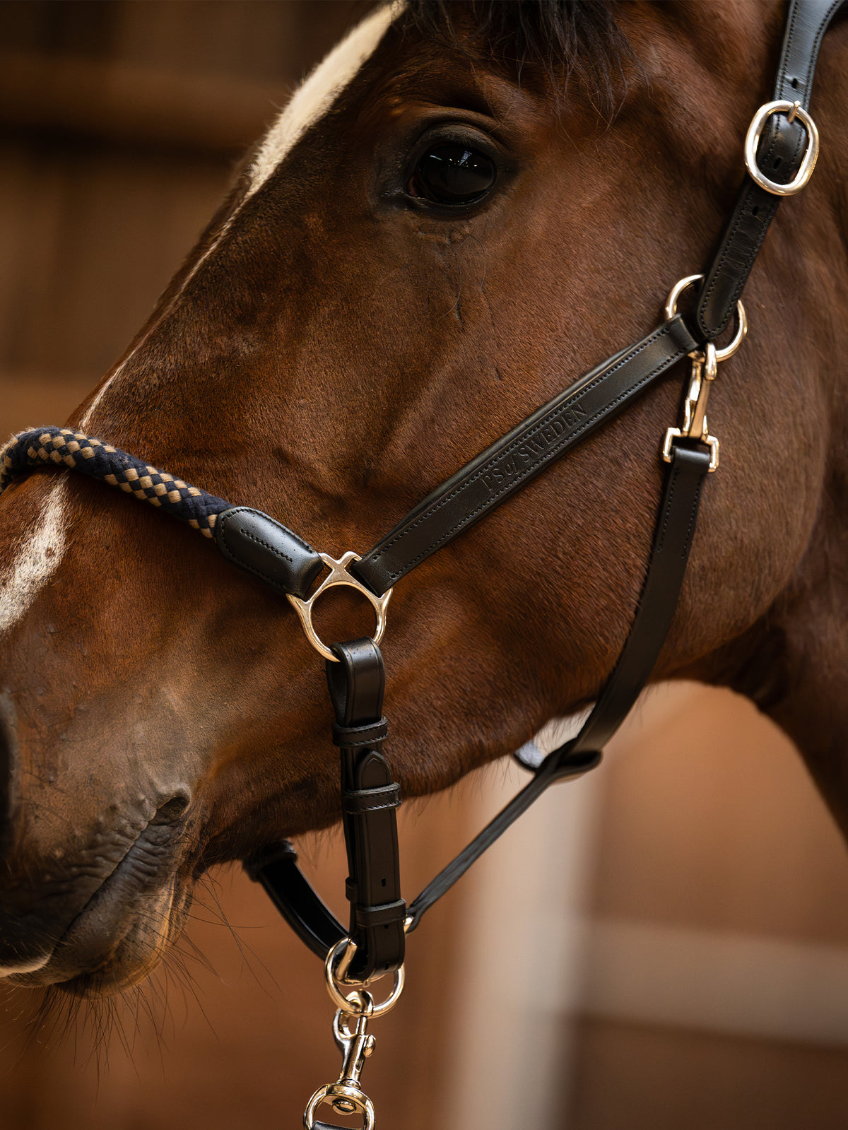 Palermo Leather Halter Black Leather