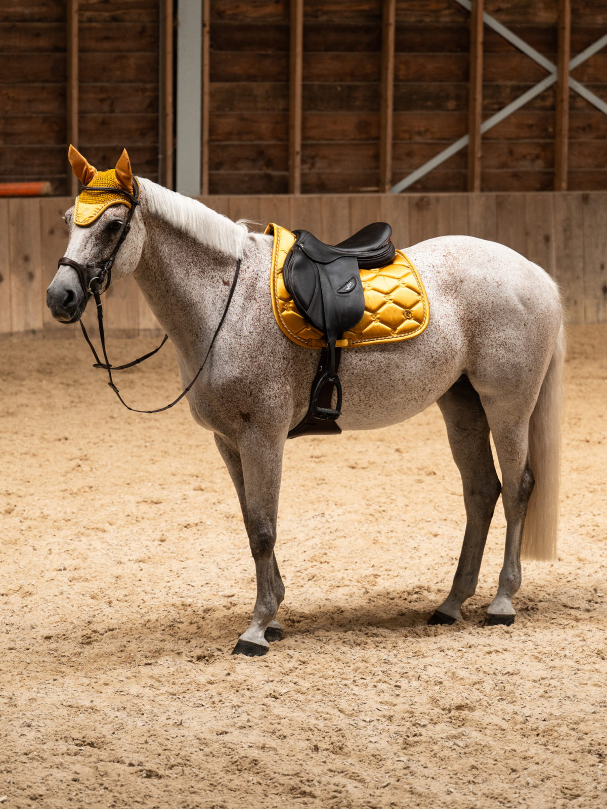 Saddle Pad Jump Signature - Old Gold