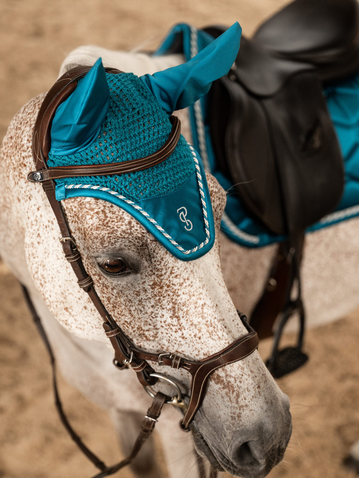 Saddle Pad Jump Signature - Evening Teal