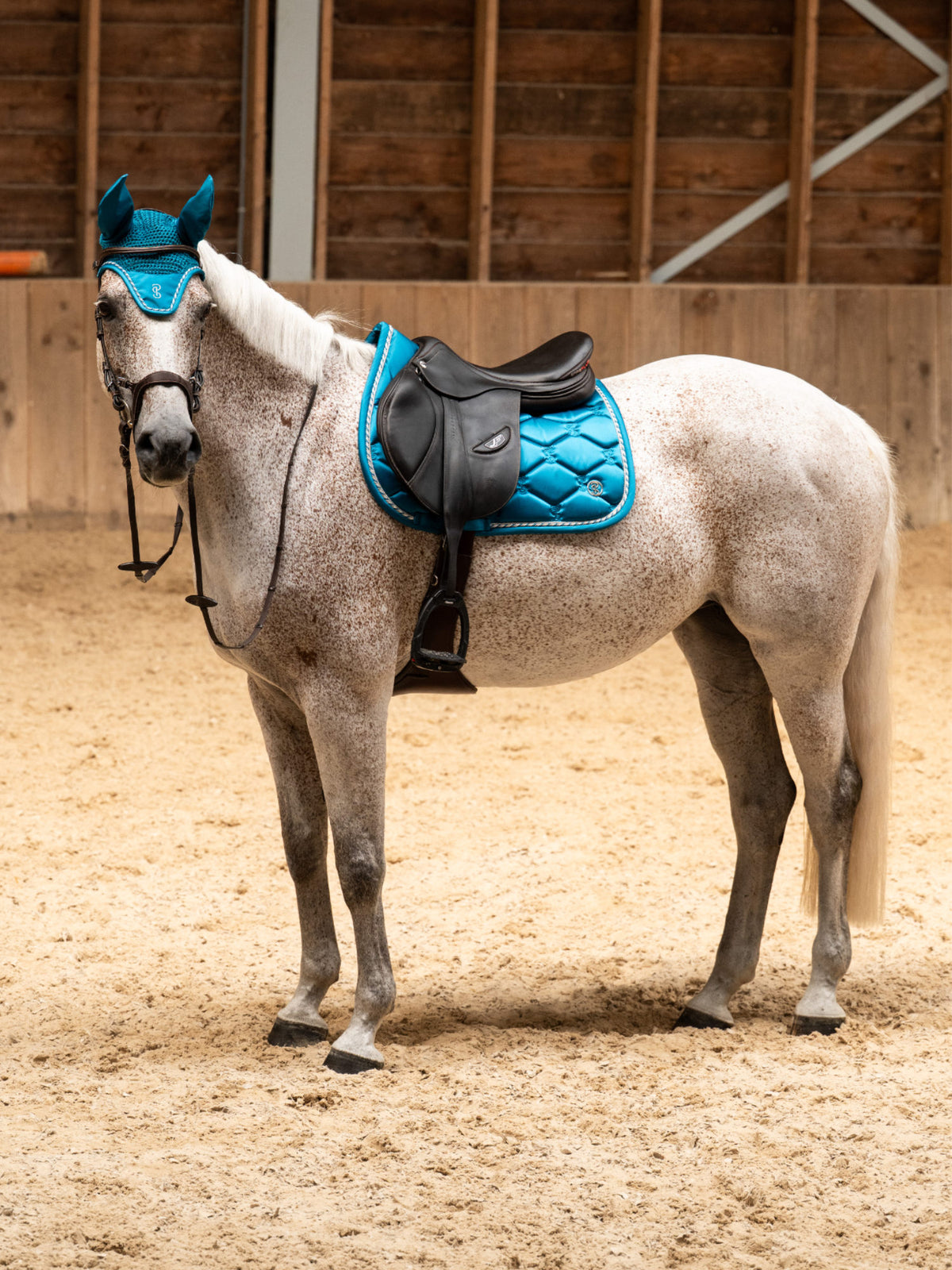 Saddle Pad Jump Signature - Evening Teal