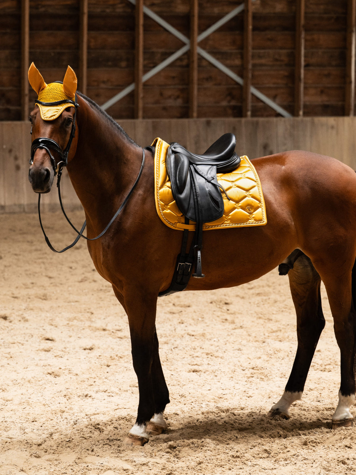 Saddle Pad Dressage Signature - Old Gold
