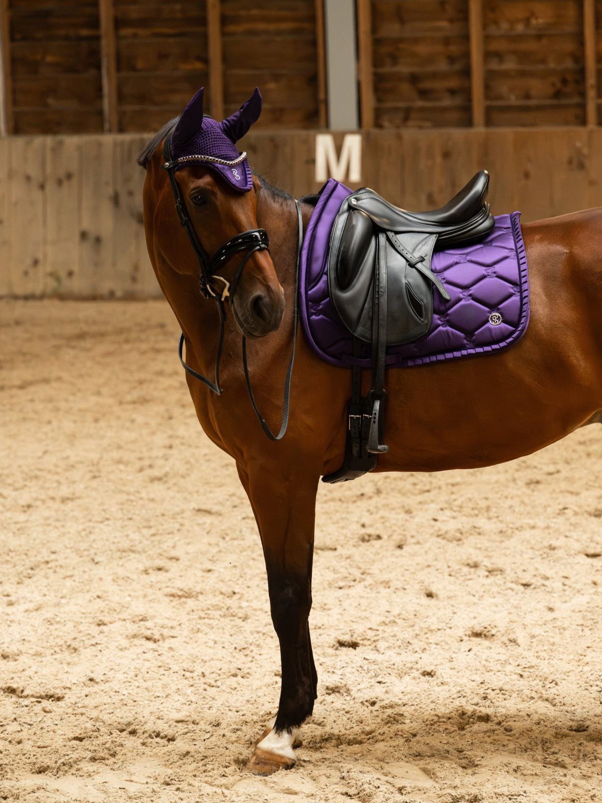 Saddle Pad Dressage Ruffle - Eclipse Purple