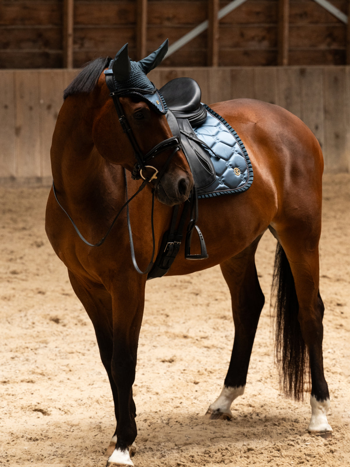Saddle Pad Dressage Ruffle Pearl - Shadow Blue