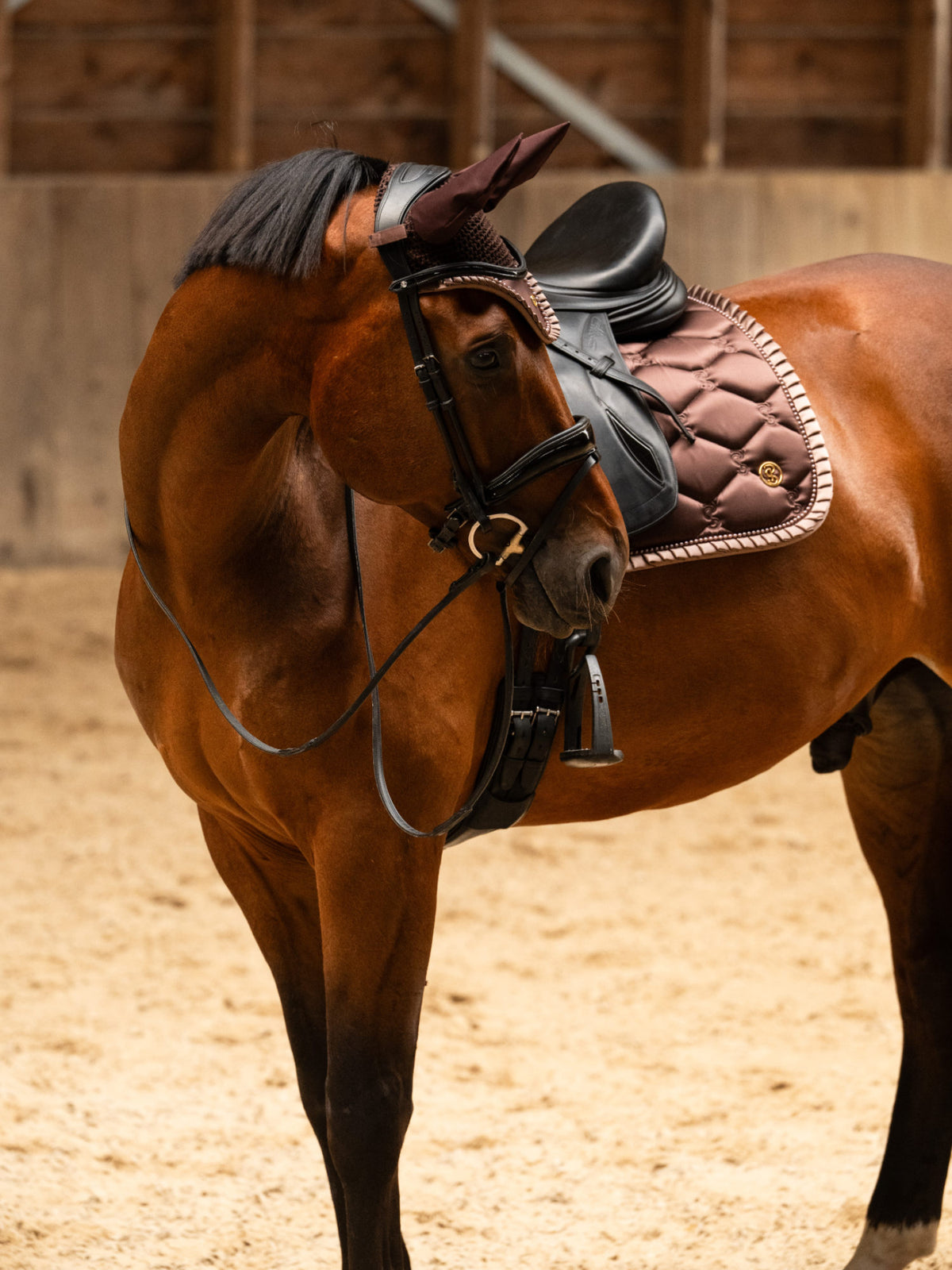 Saddle Pad Dressage Ruffle Pearl - Earth Brown