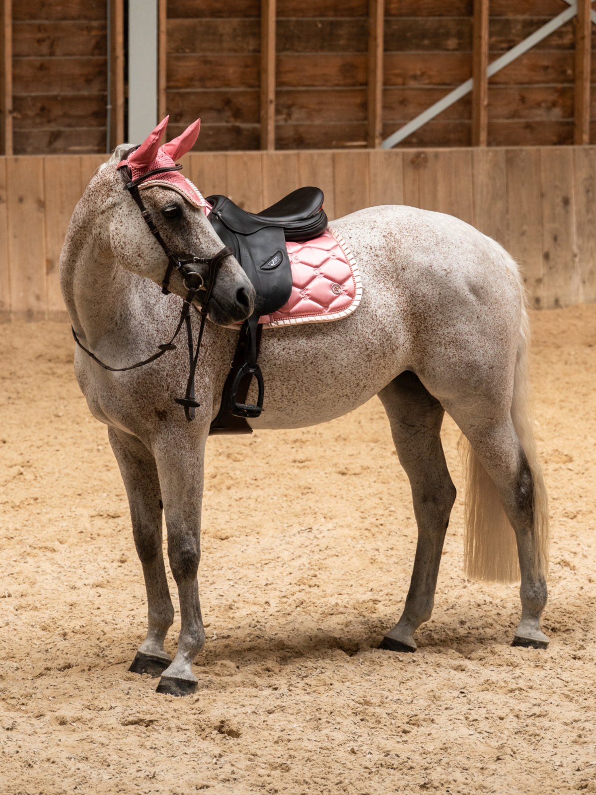 Saddle Pad Jump Ruffle Pearl - Vintage Pink