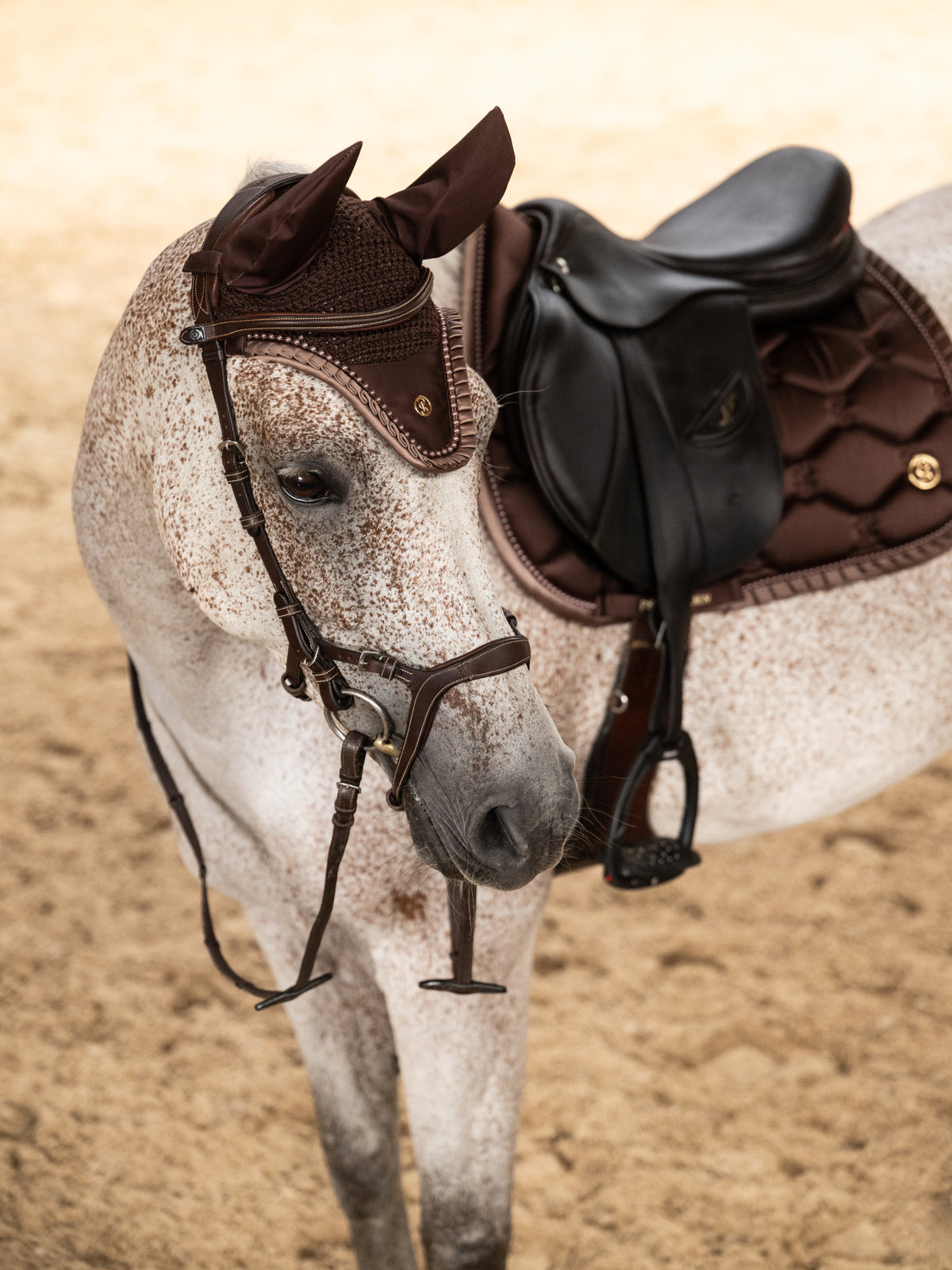 Saddle Pad Jump Ruffle Pearl - Earth Brown