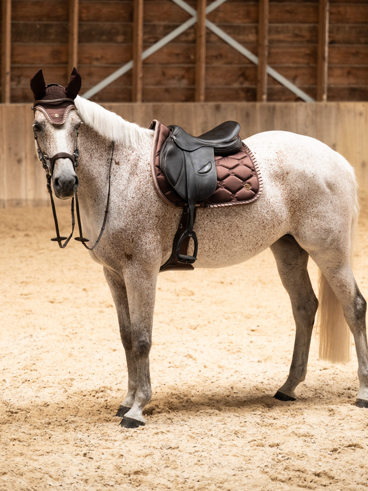 Saddle Pad Jump Ruffle Pearl - Earth Brown