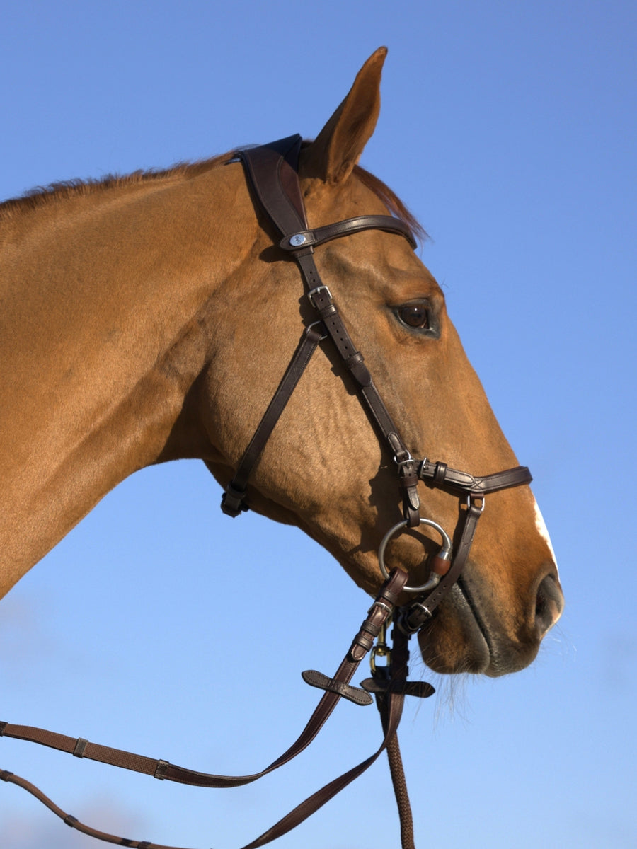 Bridle King Edward Brown Leather