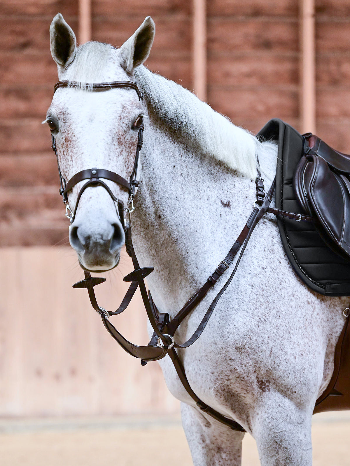 Mexico Breastplate Brown Leather