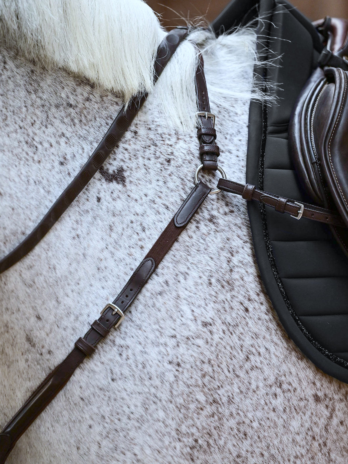 Mexico Breastplate - Brown Leather