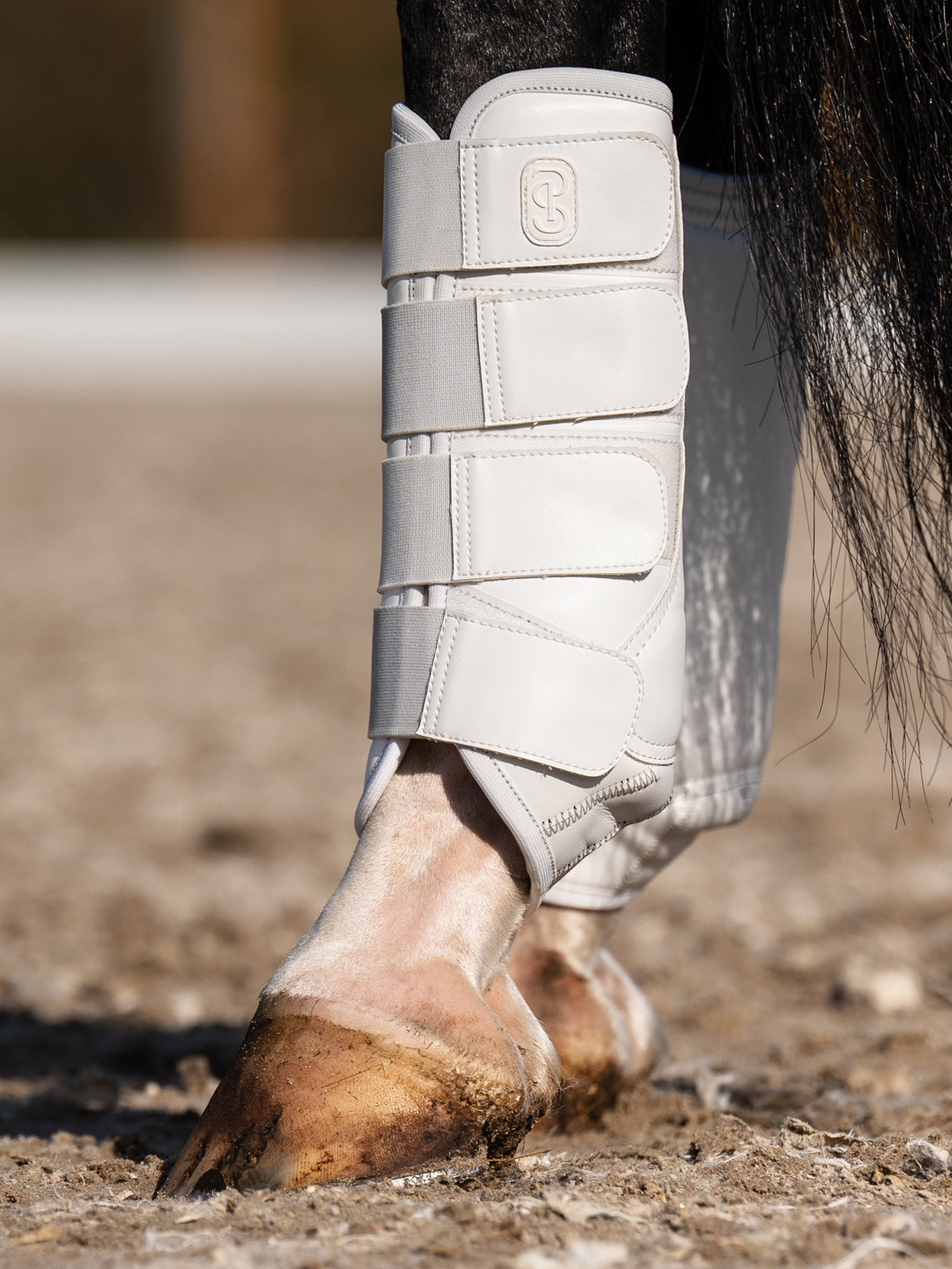 Premium Training Hind Boots 2-pack White