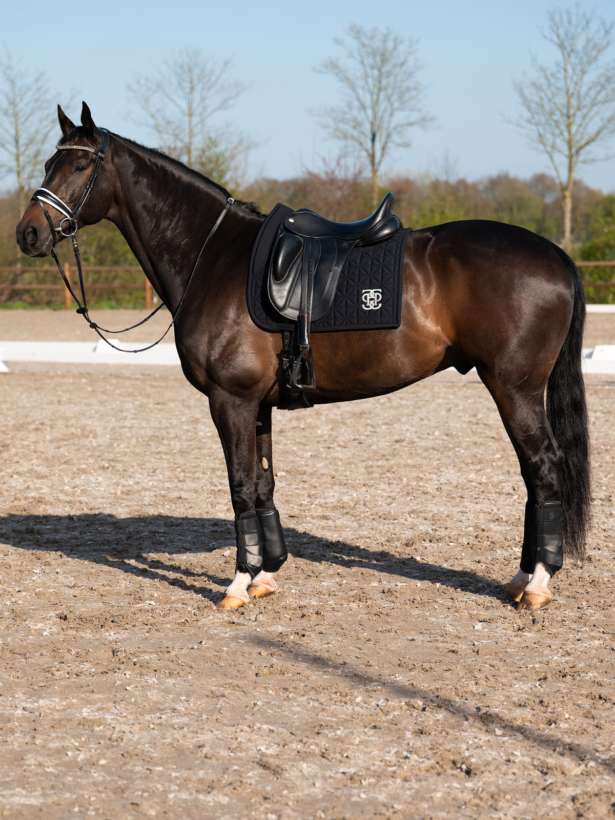 Premium Training Hind Boots 2-pack Black