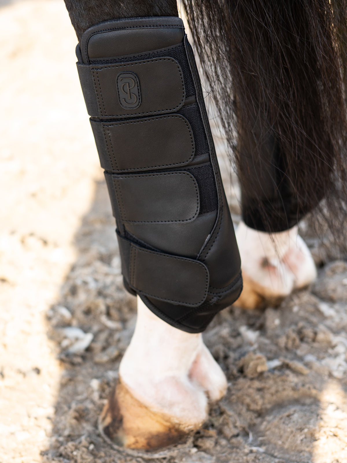 Premium Training Hind Boots 2-pack Black