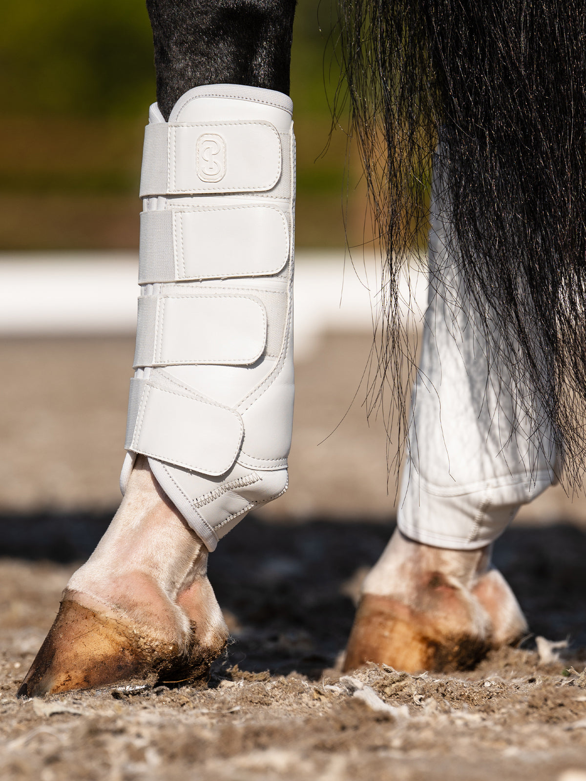 Premium Training Hind Boots 2-pack White