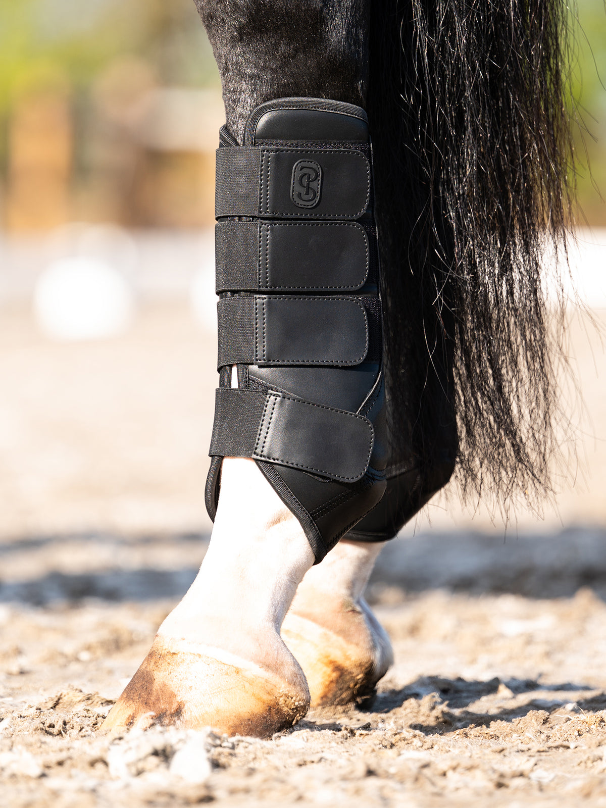 Premium Training Hind Boots 2-pack Black