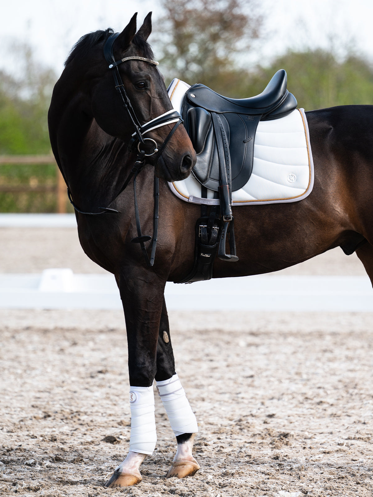 Airflow Mesh Dressage Saddle Pad White