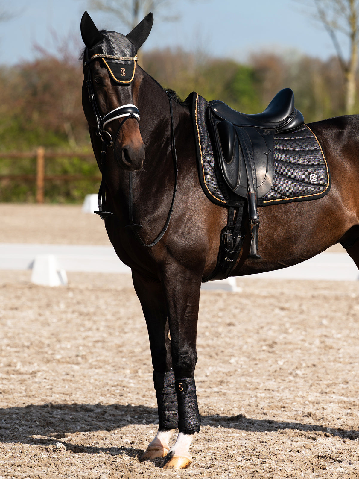 Airflow Mesh Dressage Saddle Pad Black