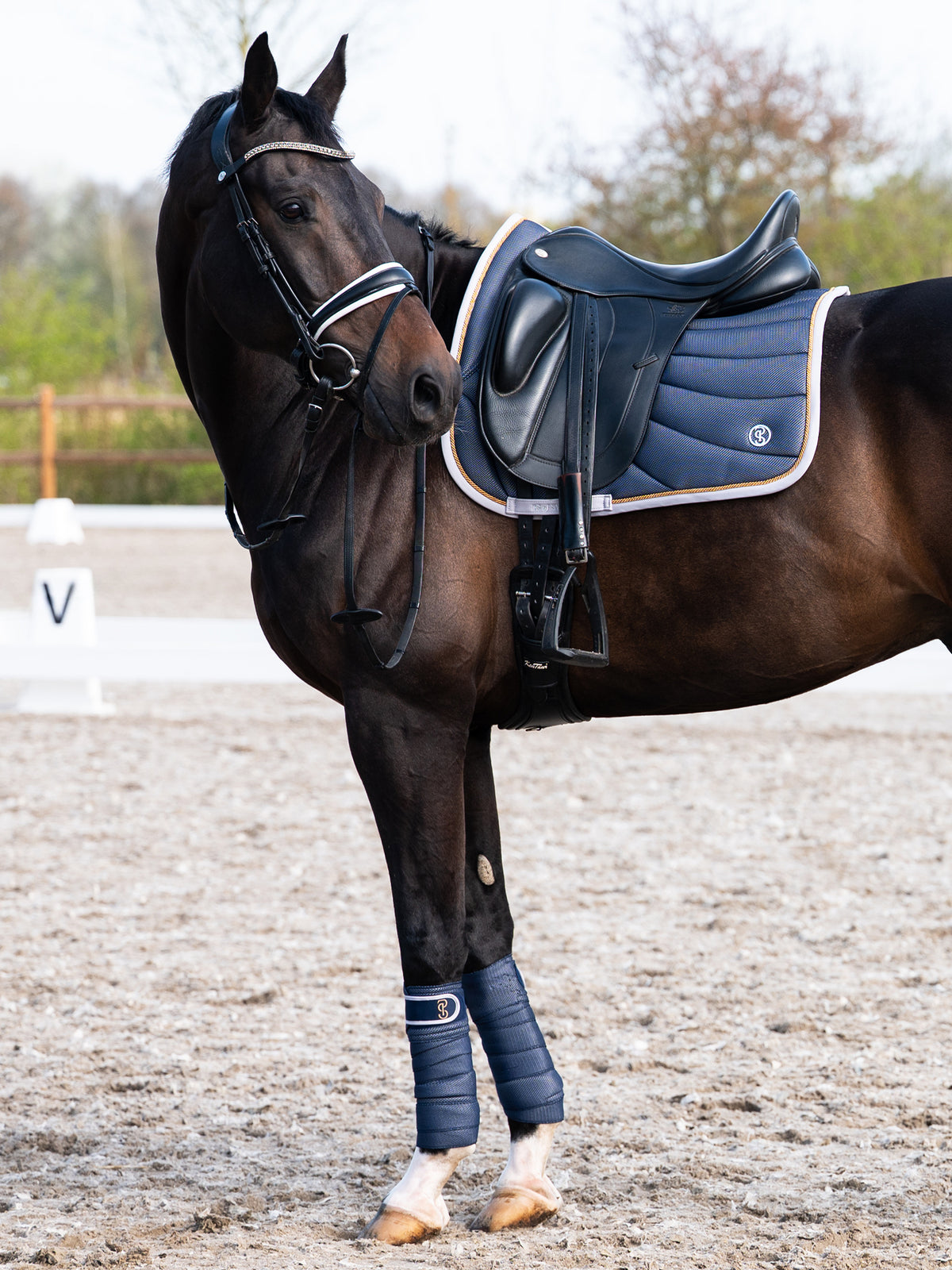 Airflow Mesh Dressage Saddle Pad Navy