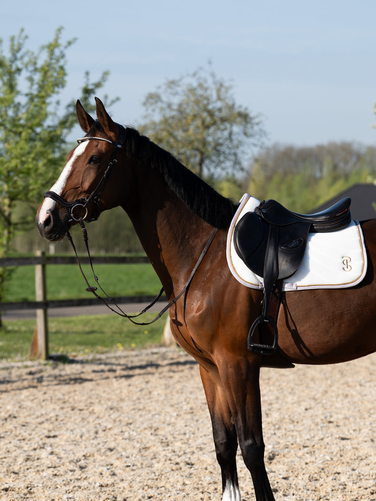 Airflow Mesh Jump Saddle Pad - White