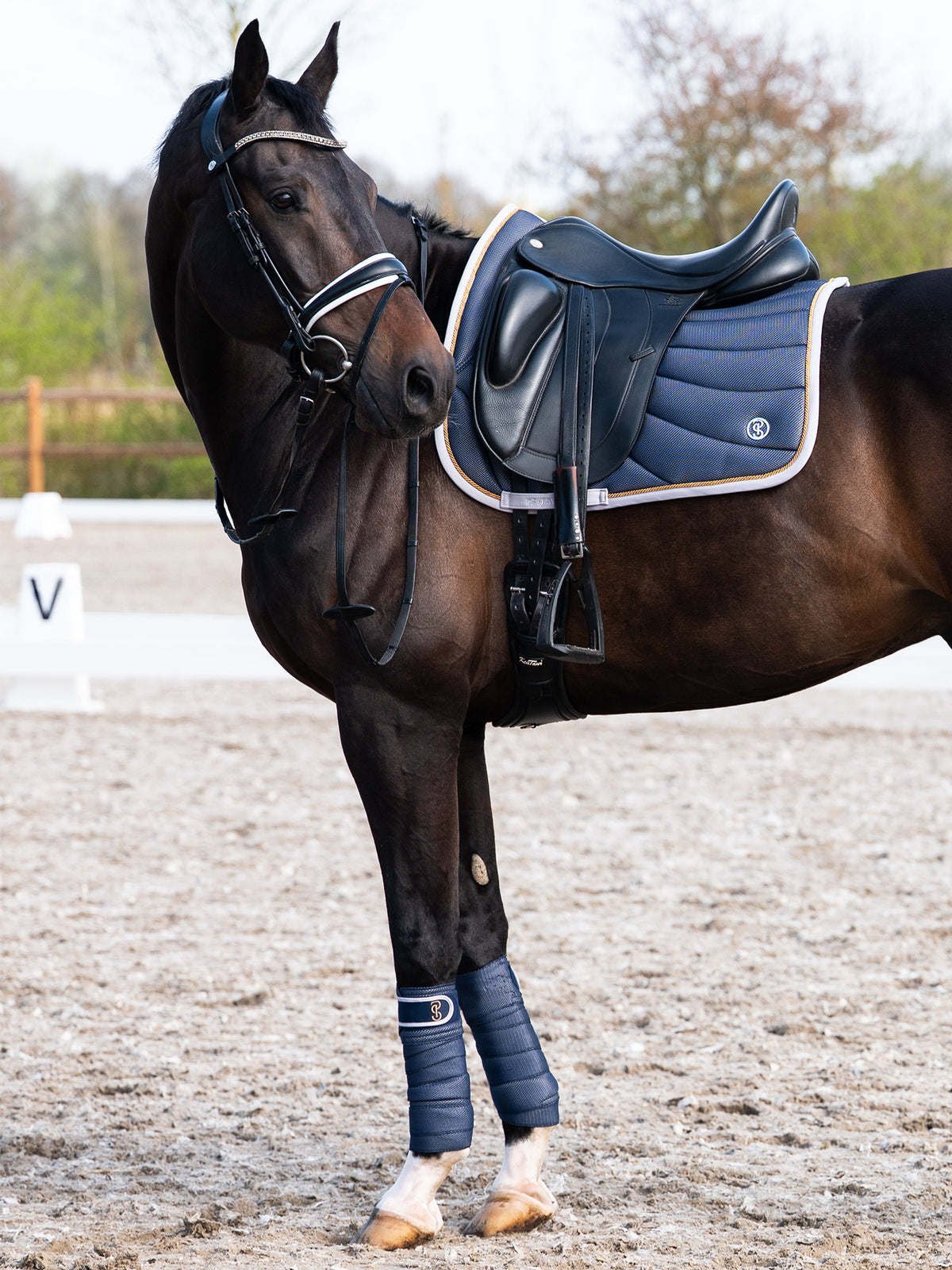 Airflow Mesh Polos 2-Pack Navy