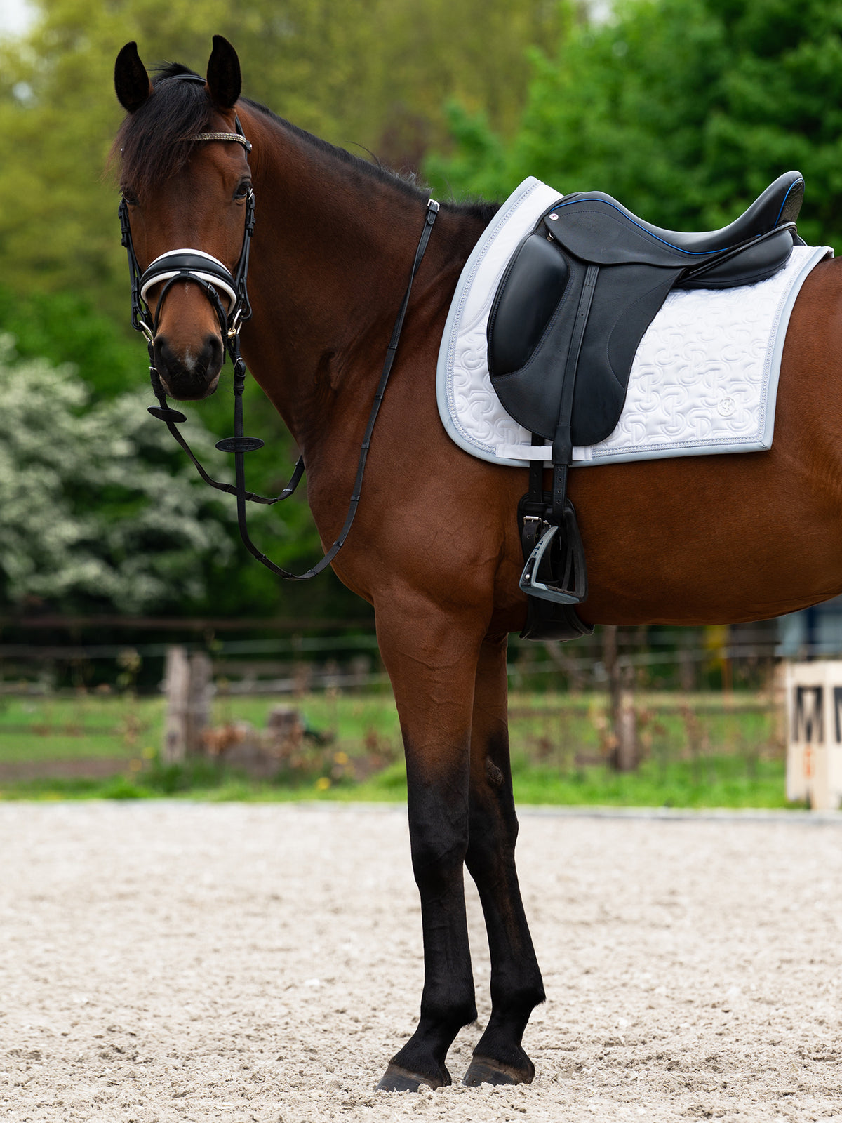 Crystal Satin Dressage Saddle Pad White