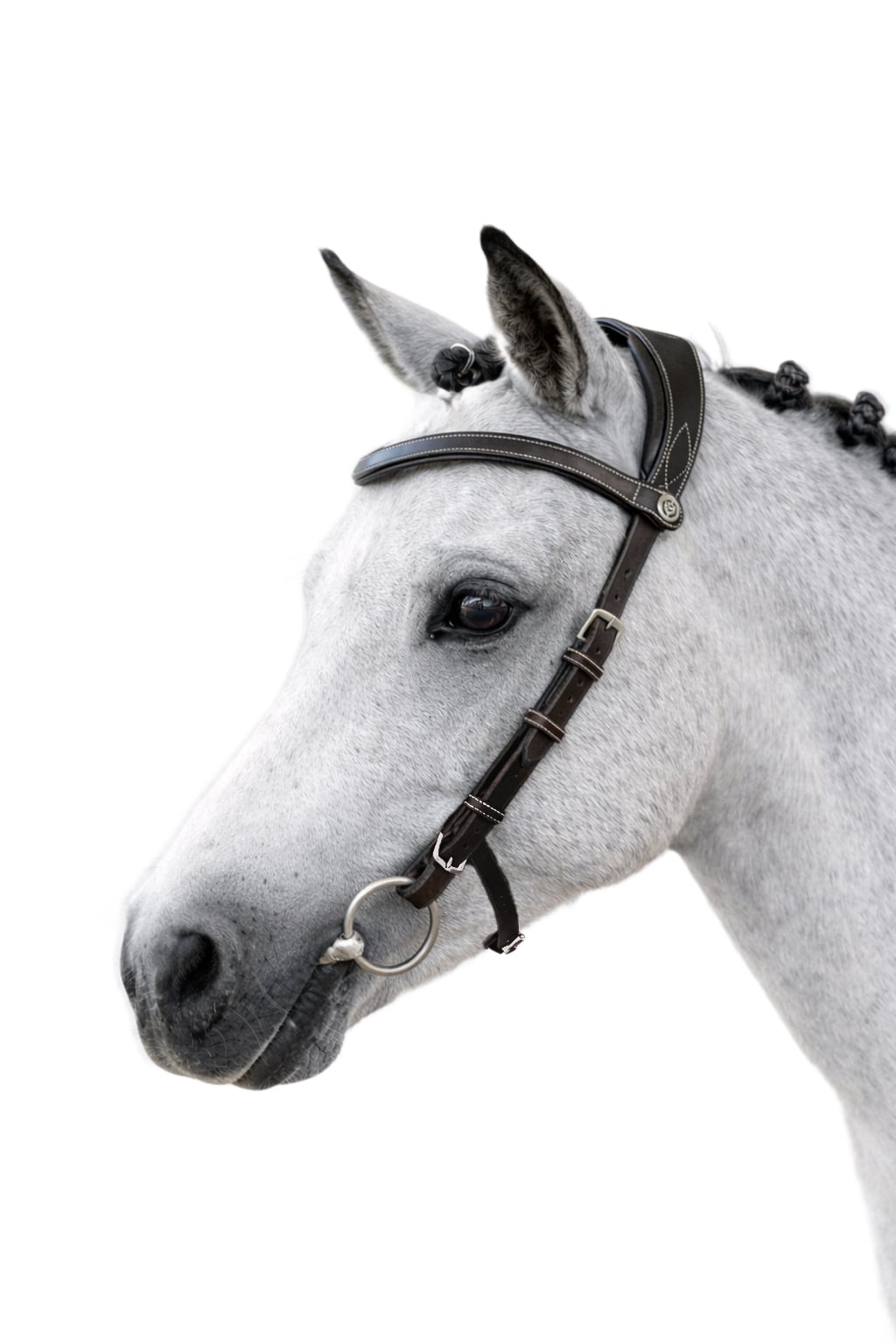 Bridle Helsinki Pony Brown Leather