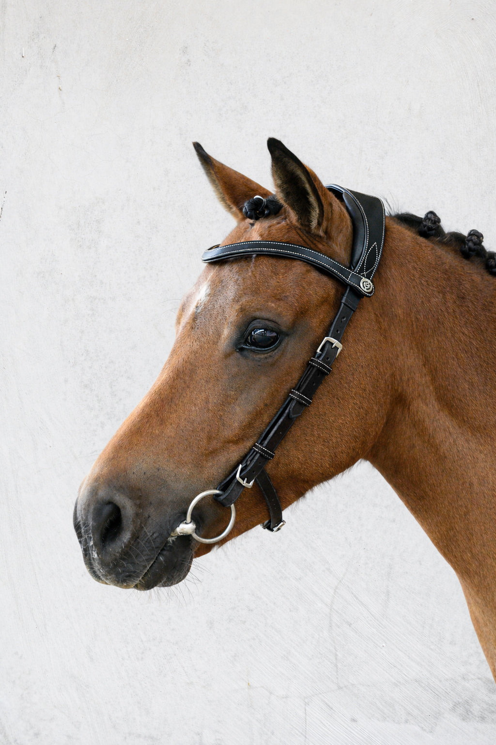 Bridle Helsinki Pony Black Leather