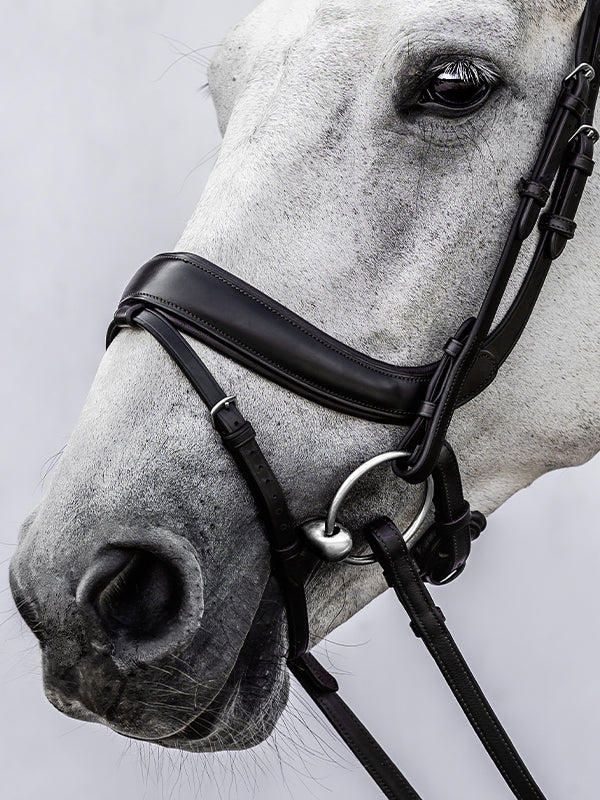 Bridle Paladin with Throatlatch Black Leather