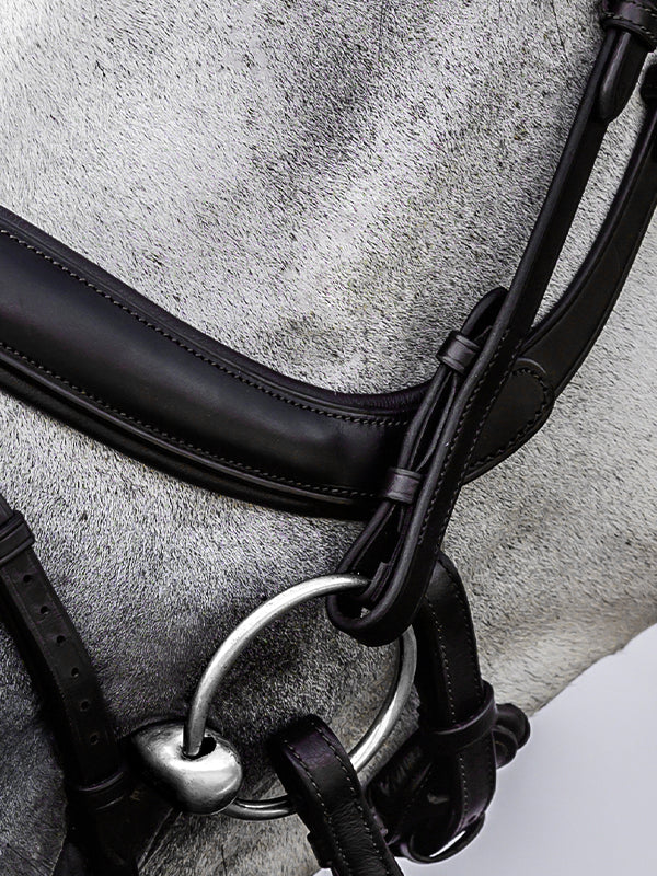 Bridle Paladin with Throatlatch Black Leather