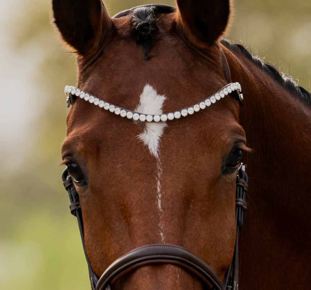 Browband Slim Crystal Black Leather