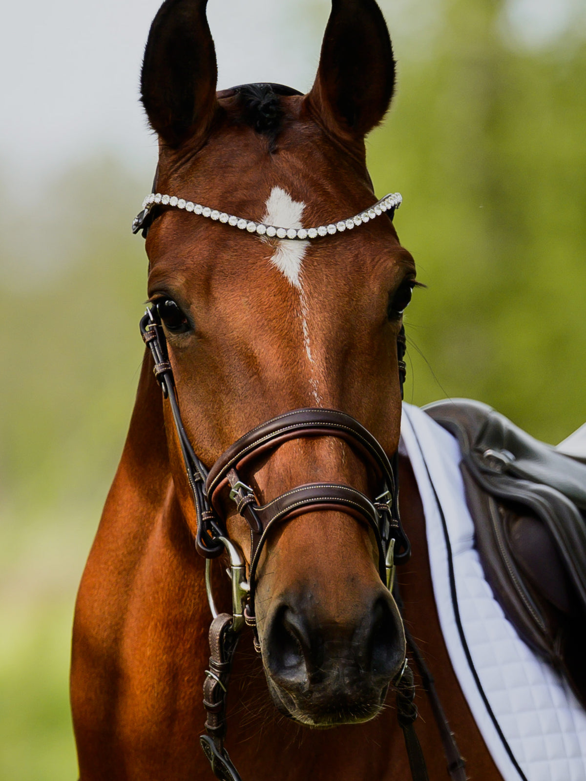 Browband Slim Crystal Brown Leather
