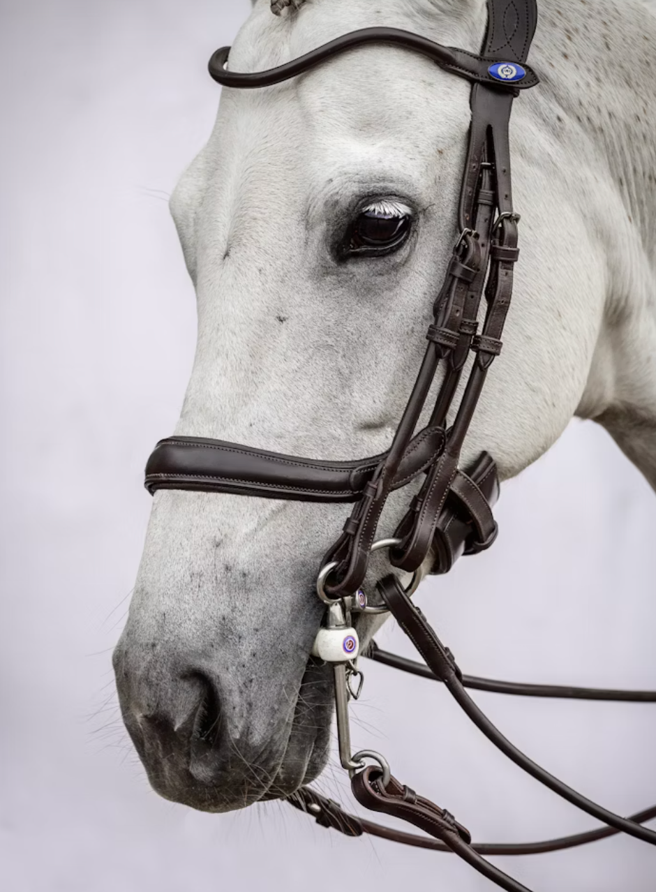 Noseband Paragon Brown Leather