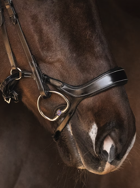 Noseband Pioneer Brown Leather
