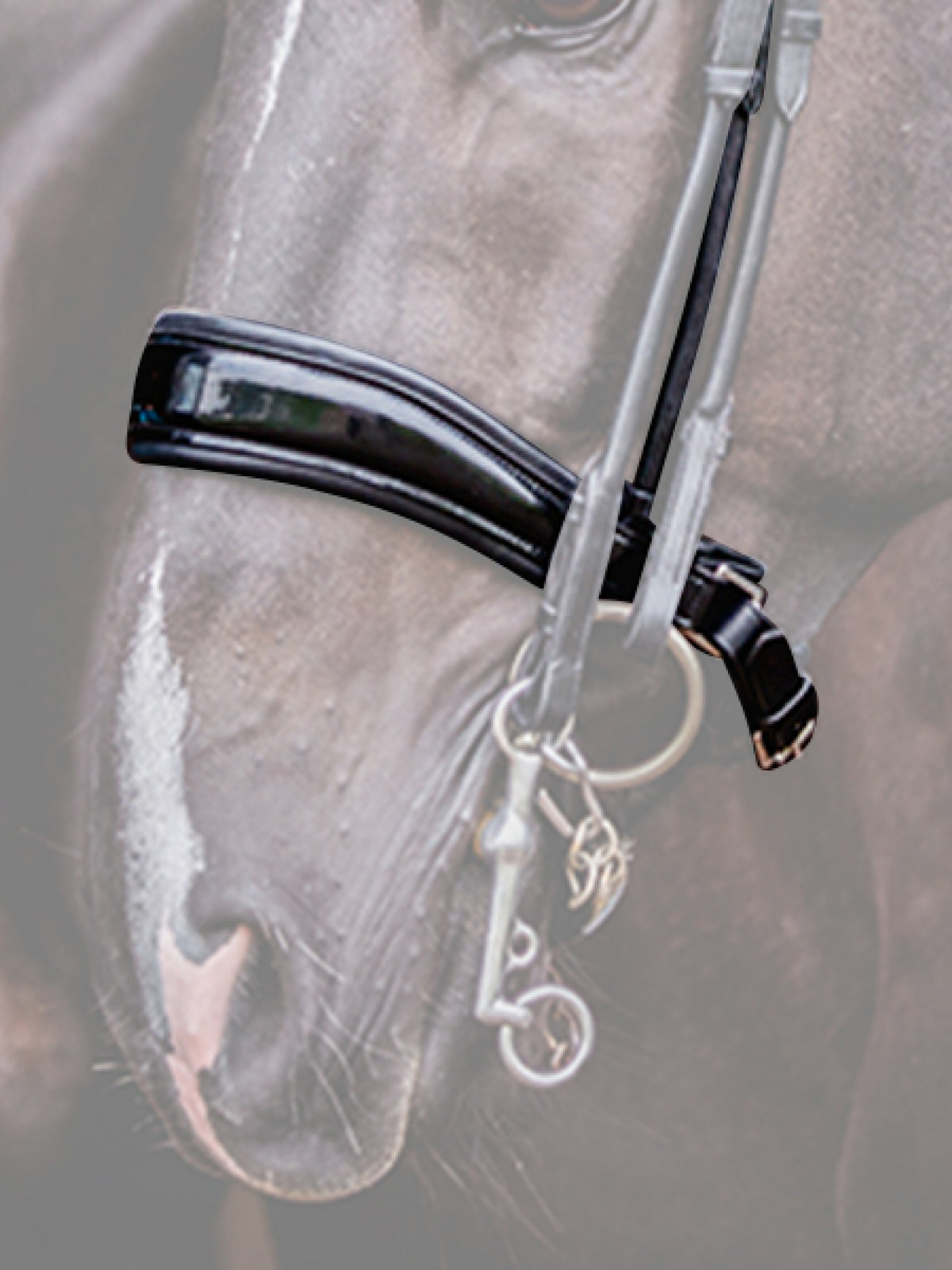 Noseband Passage Lacquered Black Leather