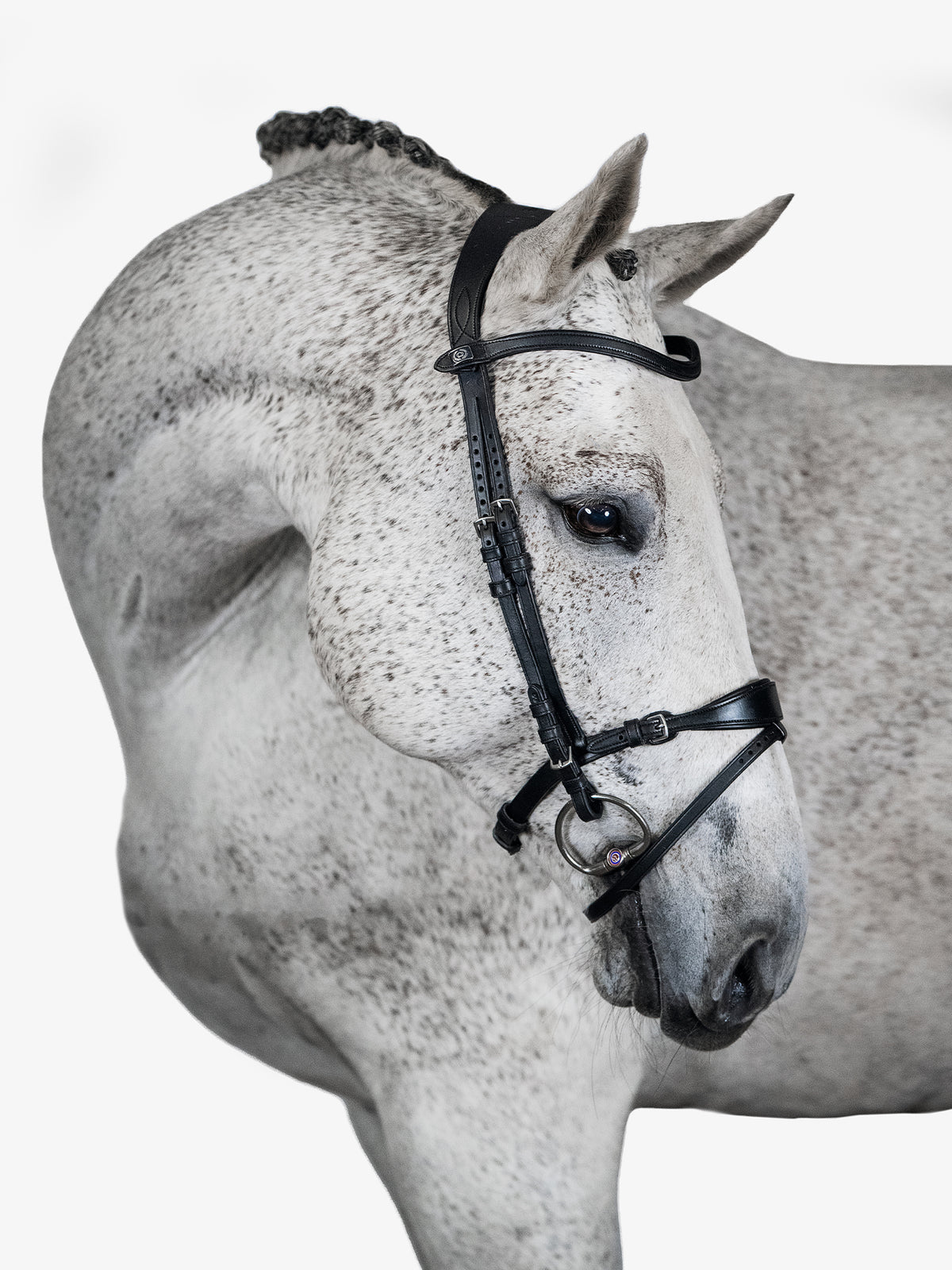 Bridle, Mary Lou By Henrik Von Eckermann Black Leather