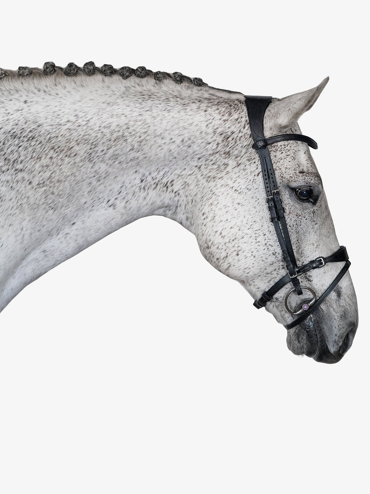 Bridle, Mary Lou By Henrik Von Eckermann Black Leather